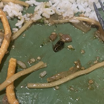 HuHot Mongolian Grill - a plate of food - Asian Fusion Near Me - Cedar Rapids, Iowa