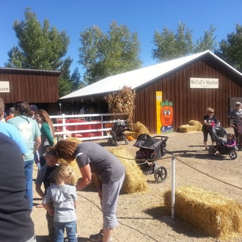 McCall Pumpkin Patch - Pumpkin Patches Near Me - Moriarty, New Mexico