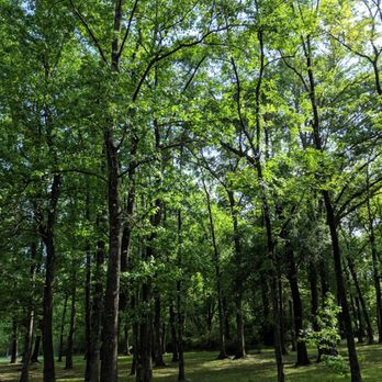 McDade Park - Walkway - Parks Near Me - Conroe, Texas
