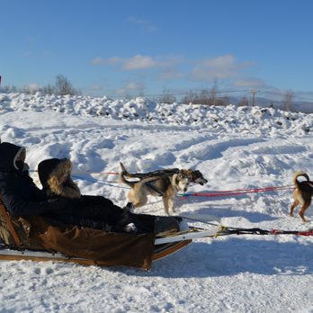 Sled Dog Adventures - Off they go! - Sledding Near Me Sled Dog Adventures - Off they go! - Sledding Near Me