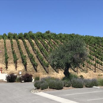 TWOMEY Anderson Valley - Vineyards views right from their parking lot - Wineries Near Me - Philo, California TWOMEY Anderson Valley - Vineyards views right from their parking lot - Wineries Near Me - Philo, California