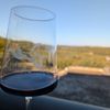 Hawk's Shadow Winery gift card