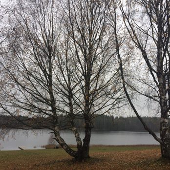 Nordbytjernet - View of the lake before it freezes in the winter. - Beaches Near Me - Jessheim, 02