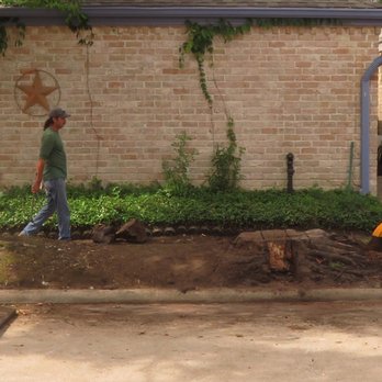 C-Trees & More - Tree Services Near Me - Houston, Texas C-Trees & More - Tree Services Near Me - Houston, Texas