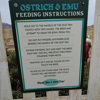 Ostrichland USA - Ostrich and emu feeding instructions! - Attraction Farms Near Me - Solvang, California Ostrichland USA - Ostrich and emu feeding instructions! - Attraction Farms Near Me - Solvang, California