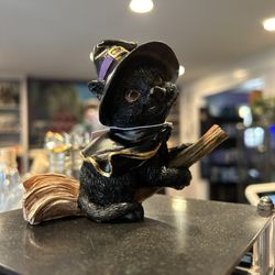 Cat & Cauldron