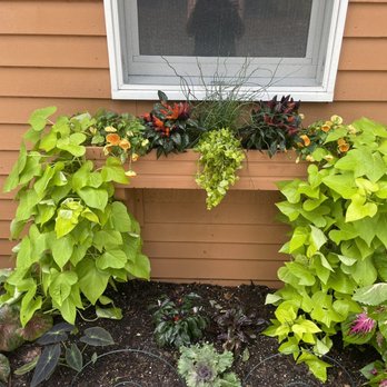 Lakeside Gardens - A flower box filled with green and colorful plants is attached below a window on the exterior of a brown house. The plants include large green leaves, pink and purple foliage, and flowering plants with orange and yellow blooms. The soil is visible at the base of the plants, and the window has a white frame with a screen. The background shows horizontal siding of the house. - Nurseries & Gardening Near Me - Norton, Massachusetts