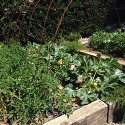 Lotraix - Potager