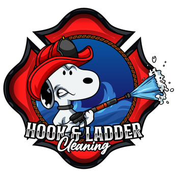 Hook and Ladder Cleaning - Window Washing Near Me