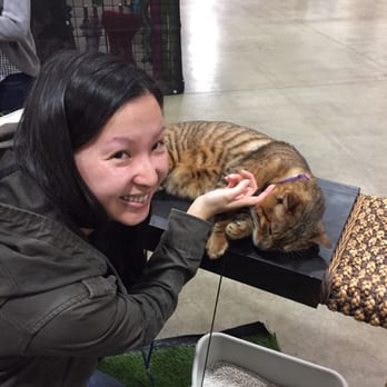 Bay Area Pet Expo - Maybe some day..! - Pet Adoption Near Me - San Jose, California Bay Area Pet Expo - Maybe some day..! - Pet Adoption Near Me - San Jose, California