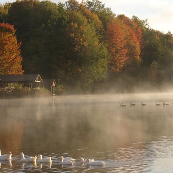 Beaver Hollow Conference Center - Hotels Near Me - Java Center, New York