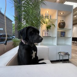 Moon Babes Salon and Boutique