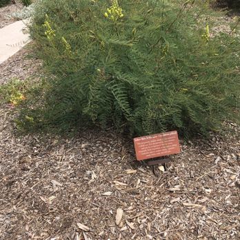 Smokey Bear Museum - Clearly marked plants - Museums Near Me - Capitan, New Mexico
