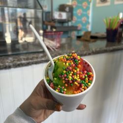Vayla's Gourmet Shaved Ice