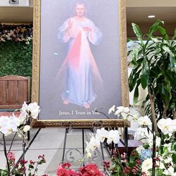 Santa Clara de Asis Catholic Church - Divine Mercy Sunday 2026