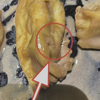 Pasta e Basta - Hair in leftovers. - Italian Near Me - Miami, Florida Pasta e Basta - Hair in leftovers. - Italian Near Me - Miami, Florida