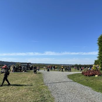 Bailey Family Farm - Pick Your Own Farms Near Me - Snohomish, Washington
