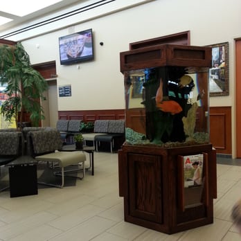 Sparkle Dental - Fish tank to keep kids busy - Cosmetic Dentists Near Me - Warren, Michigan
