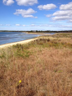 Long Point Wildlife Refuge by null