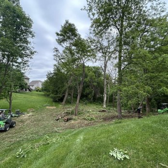 Tree Guys - Tree Services Near Me Tree Guys - Tree Services Near Me