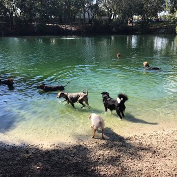 Fit & Go Pets - Dog Walkers Near Me - Miami, Florida Fit & Go Pets - Dog Walkers Near Me - Miami, Florida