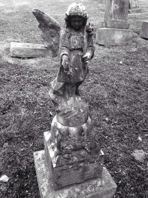 Thornrose Cemetery by null