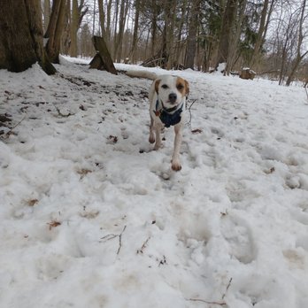 Warnimont Dog Park - Dog Parks Near Me - Cudahy, Wisconsin Warnimont Dog Park - Dog Parks Near Me - Cudahy, Wisconsin