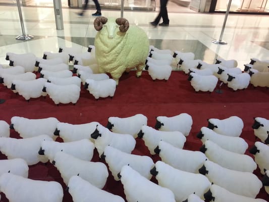 Oakridge Park by null