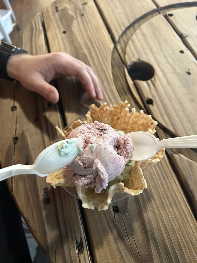 Double Dips Ice Creamery Logo