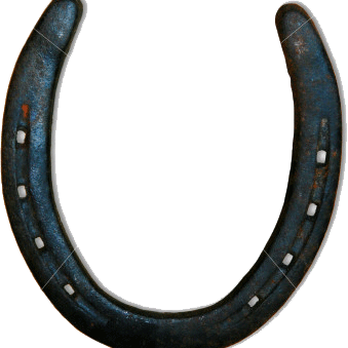 Tack Warehouse - Horse Equipment Shops Near Me - Woodland, California Tack Warehouse - Horse Equipment Shops Near Me - Woodland, California