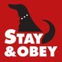 Photo of Stay And Obey