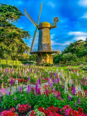 Dutch Windmill by null