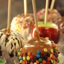 Rocky Mountain Chocolate Factory