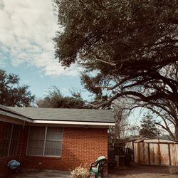 Miller Tree Service - After limb removal