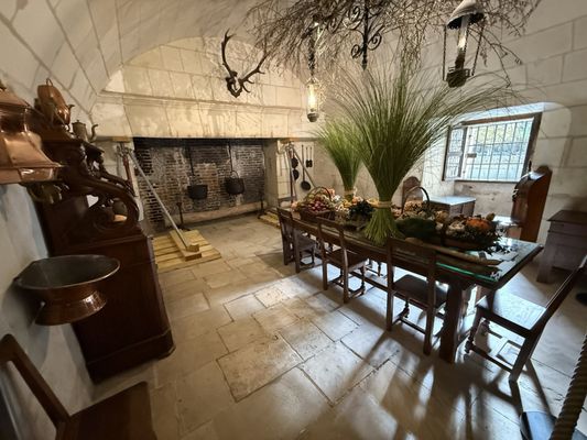 Château de Chenonceau by null