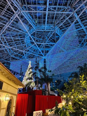 Gaylord Palms Resort & Convention Center by null