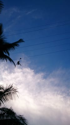 Mega Adventure - Singapore by null