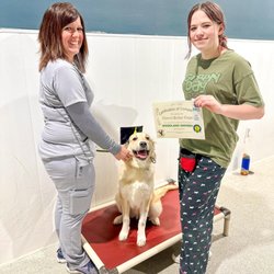 STAR puppy graduate from our Woodland University training class