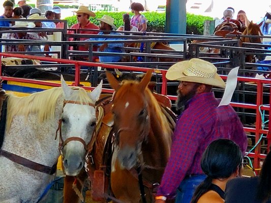 Georgia International Horse Park by null