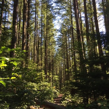 Rattlesnake Ledge Trail - Hiking Near Me Rattlesnake Ledge Trail - Hiking Near Me