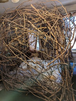 The Cave House by null