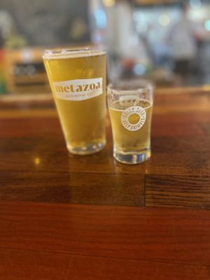 Metazoa Brewing Company by null