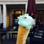 Photo of Trattoria Il Gattopardo