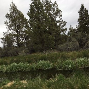 Big Sky Dog Park - Theres a very nice river to walk along - Dog Parks Near Me - Bend, Oregon