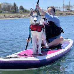 SUP Pups - My dog and I paddleboarding