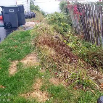 Marchese Landscaping - Original awkward dead space - Landscaping Near Me