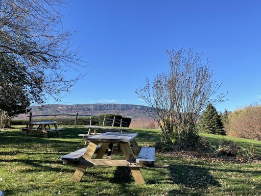 Whitecliff Vineyard & Winery by null