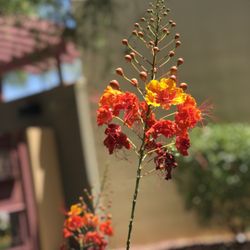 Congregation Ner Tamid - New beginnings can be difficult or exciting... happy or sad. One thing's for sure, new beginnings mean new opportunities to grow
