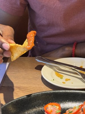 Beatrix Loop by null