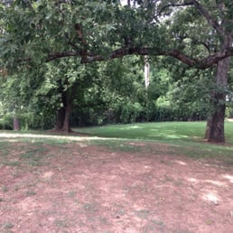 A section of the large dog park